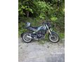 BENELLI LEONCINO 500 TRIAL 2024/12 - 2