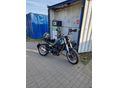 BENELLI LEONCINO 500 TRIAL 2024/12 - 3