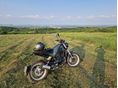 BENELLI LEONCINO 500 TRIAL 2024/12 - 4