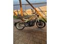 BENELLI LEONCINO 500 TRIAL 2024/12 - 5