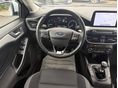 FORD FOCUS 2020/9 - 10