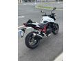 HONDA CB 750 HORNET 2025/8 - 2