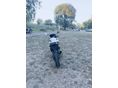 YAMAHA TZR 50 2005/10 - 4