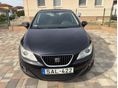 SEAT IBIZA 2010/5 - 1