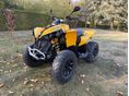 CAN-AM RENEGADE 2013/4 - 9