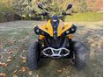 CAN-AM RENEGADE 2013/4 - 10