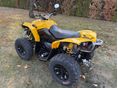 CAN-AM RENEGADE 2013/4 - 12