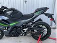 KAWASAKI NINJA 500 2024/4 - 19