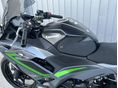 KAWASAKI NINJA 500 2024/4 - 22