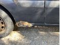 FORD FIESTA 2006/10 - 3