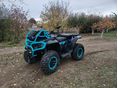 CFMOTO CFORCE 1000 2025/6 - 1