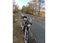 SUZUKI GSX 1100 G 1991/8 - 5