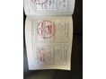 DUCATI MULTISTRADA 950 2020/5 - 10