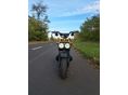 HONDA ZOOMER 2006 - 5