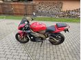 APRILIA TUONO 1000 2003/9 - 1