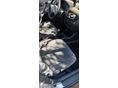 HONDA CIVIC 1997/4 - 7
