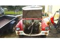 TRABANT P 50 1962 - 16