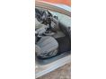 SEAT LEON 2005/11 - 8