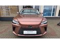 LEXUS RX 2023/11 - 2