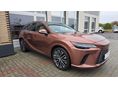LEXUS RX 2023/11 - 3