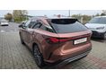 LEXUS RX 2023/11 - 5