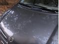 NISSAN ALMERA TINO 2005 - 5