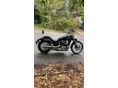 HONDA SHADOW 750 2008/5 - 1