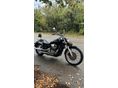 HONDA SHADOW 750 2008/5 - 2