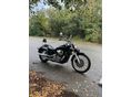 HONDA SHADOW 750 2008/5 - 3
