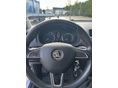 SKODA FABIA 2014/2 - 12