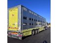 MICHIELETTO 2004/6 - 4