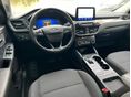 FORD KUGA 2024/4 - 2