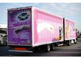 DAF 2018/1 - 3