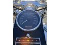 HARLEY-DAVIDSON SOFTAIL 2006/5 - 10