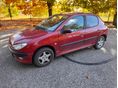 PEUGEOT 206 2003/12 - 5