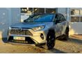 TOYOTA RAV 4 2019/3 - 1