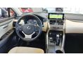 LEXUS NX 2021/7 - 5
