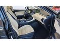 LEXUS NX 2021/7 - 9