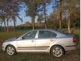SKODA OCTAVIA 2008/8 - 5