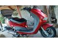 PEUGEOT ELYSEO 125 2002/10 - 2