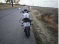 HONDA CB 600 F (HORNET) 2003/5 - 2