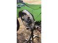 KAWASAKI KX 250 F 2026/1 - 3