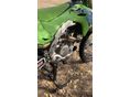 KAWASAKI KX 250 F 2026/1 - 6