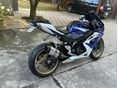 SUZUKI GSX-R 1000 2005/10 - 5