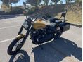 HARLEY-DAVIDSON STREET BOB 2019 - 2