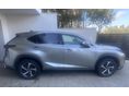 LEXUS NX 2022/1 - 1