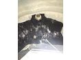 OPEL OMEGA B 1996 - 7
