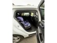 FORD FOCUS 2022/1 - 8