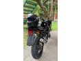 YAMAHA TZR 50 2008/6 - 2