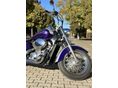 HONDA VT 750 2000/2 - 1